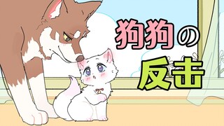 猫猫：被从小欺负的隔壁臭小子反压了……