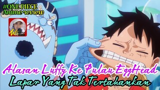 Alasan LUFFY datang ke pulau EggHead - One Piece