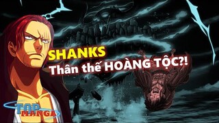 Tứ hoàng SHANKS TÓC ĐỎ: Sức mạnh và thân thế HOÀNG TỘC?!