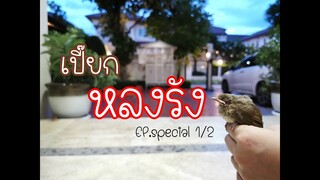 EP.Special : เปี๊ยกหลงรัง 1/2