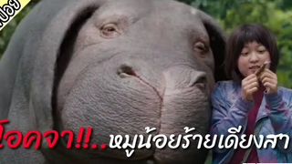 สาวน้อยที่อยู่กับหมูมาตั้งแต่วัย4ขวบ สรุปและสปอยหนังเรื่อง "โอคจา!!.." หมูน้อยร้ายเดียงสาาาา