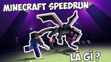 Luật Lệ Trong Về Minecraft Speedrun