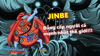 Tất tần tật về JINBE: Lái tàu băng Mũ Rơm! Đẳng cấp người cá mạnh nhất thế giới!