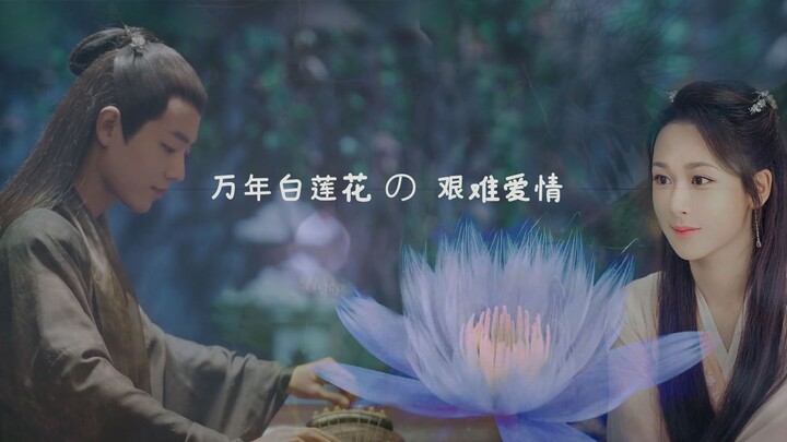 【杨紫|肖战】万年白莲花的艰难爱情（01）