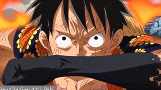 Luffy Đã HÓA THẦN Như Thế Nào - Part 5