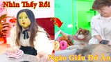 Thú Cưng TV | Ngáo Husky Troll Bố Dương KC #40| chó thông minh vui nhộn | funny cute smart dog Pets
