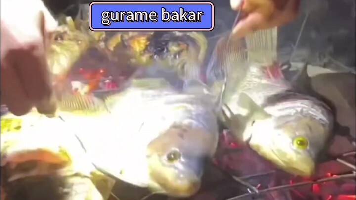 bakar bakar ikan gurame #8