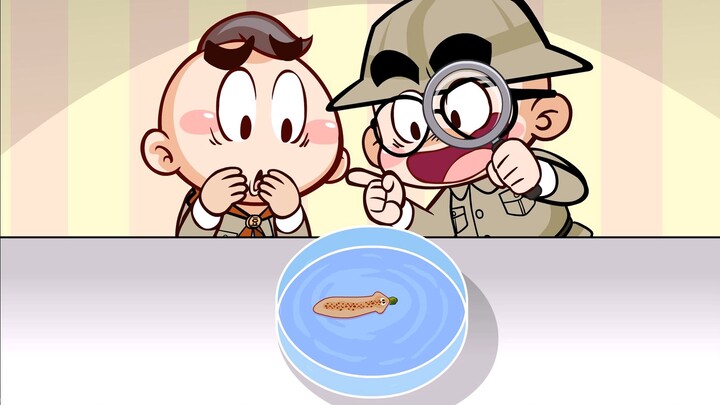 [Tangtang] Nâng cao kiến thức của bạn! Planaria tuyệt vời và bí ẩn
