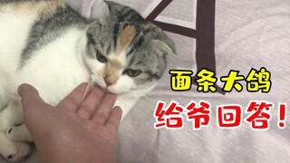 【读评论】关于大鸽的各种问题