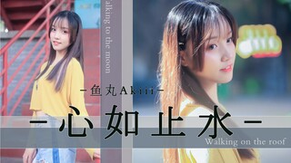 【鱼丸】▶心如止水◀ Walking on the roof.