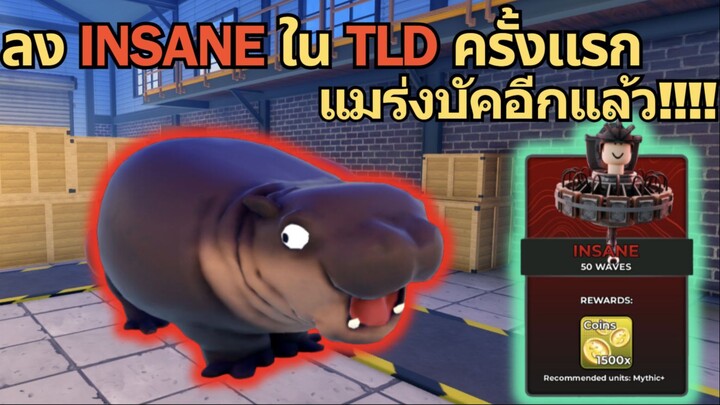 อัพเดทใหม่ ลง Insane สุดยาก ใน TLD ครั้งแรก แมร่งบัคอีกแล้ว | Toilet Legacy Defense