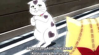 Kucing Bisa Juga Gini Yaa 🤣🤣🤣