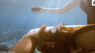 Friendly Octopus Clings To Diver's Leg