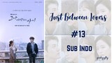 Just Between Lovers Ep.13 Sub Indo