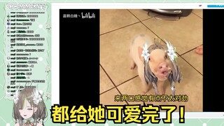 [Nai Lu] Watch the secondary creation "Tang's C*ess" before the Qingming Festival, the milk pig T