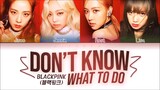 BLACKPINK- DON'T KNOW WHAT TO DO     [ Color Coded Lyrics]
