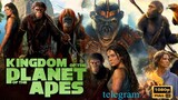 Kingdom of the Planet of the Apes (2024) Full movie