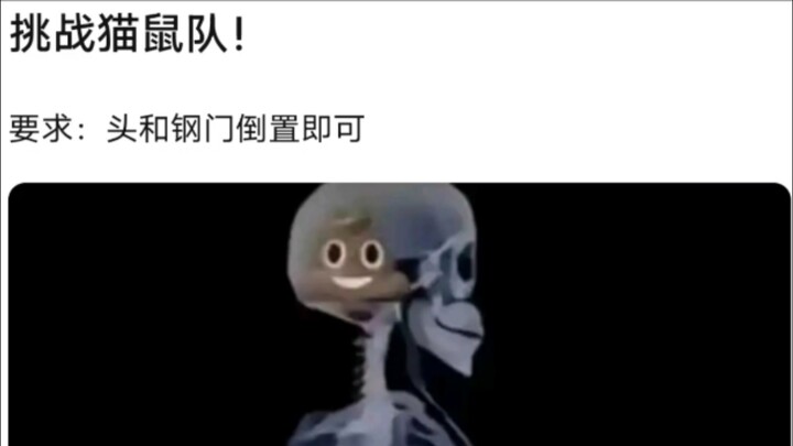 这次猫鼠队赢！