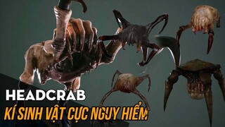 Kí sinh Headcrab đáng sợ đến mức nào? Hồ sơ sinh học game - Tập 2