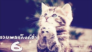 รวมพลแก๊งค์แมวฮ่า 6 พากย์นรก