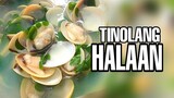 how to cook Halaan soup recipe/ tinolang halaan/ clam recipe