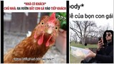 Meme ảnh chế #51:"bắt con gà tiếp khách"