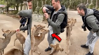 Funny Videos 2022 | Instant Regret | Fails Of The Week | Fail Compilation 2022 | Fails | RandomFails