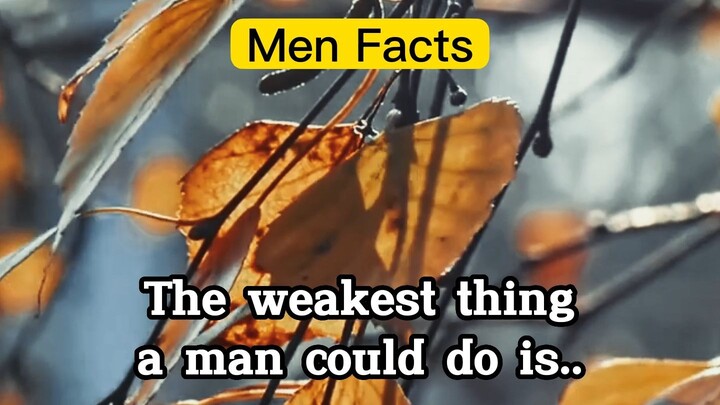 Men Facts