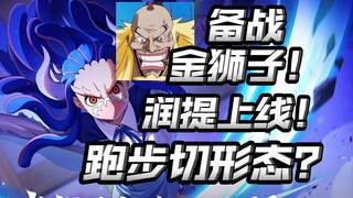 金狮子上线之前，普通高招怎么抉择？飞六胞润提上线！【航海王热血航线】【奈】