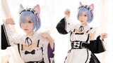 【Wotagei】Hatsune Miku – Schrodinger's Cat