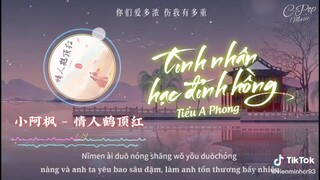 Tình nhân hạc đỉnh hồng ~ Tiểu A Phong