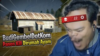 Berburu Pengendok Handal Di Rumah Ayam