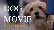 BENJIE 👍🏼 DOG FAMILY MOVIE