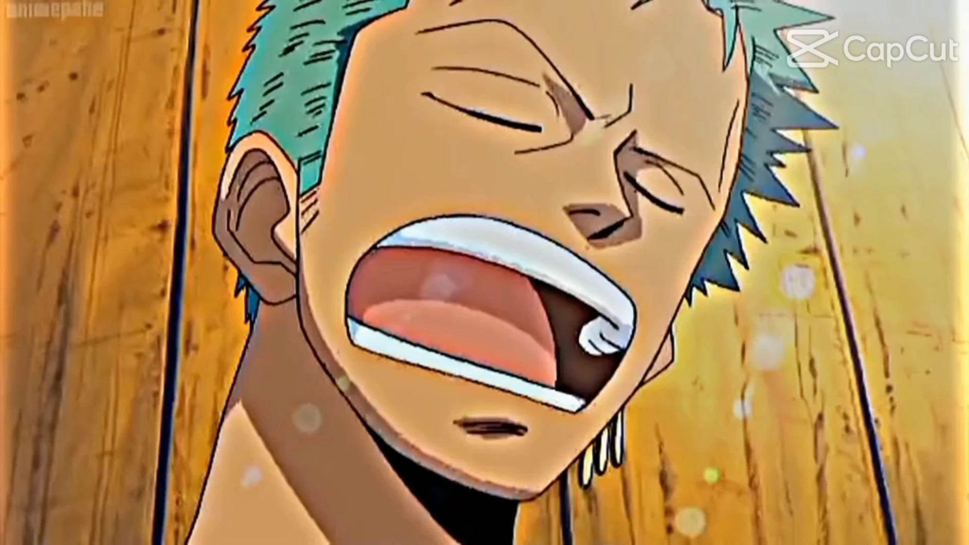 Zoro Sleeping