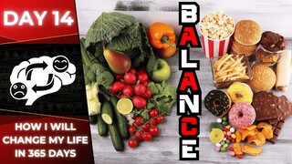 Eat Everything Without Guilt: Understanding Flexible Dieting 🎯 (Ep. 14)