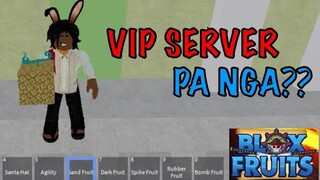 BLOX FRUITS| AYUDA NI MEYOR|VIP SERVER PA NGA??| Episode 2