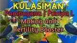 KULASIMAN Pampagana sa ating alagang Ibon | PURSLANE with Booster effect