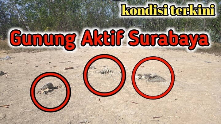 kondisi terkini gunung api aktif yang berada di surabaya
