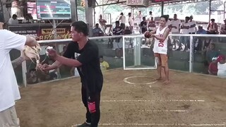 Second fight🐓 Calumpit cockpit arena