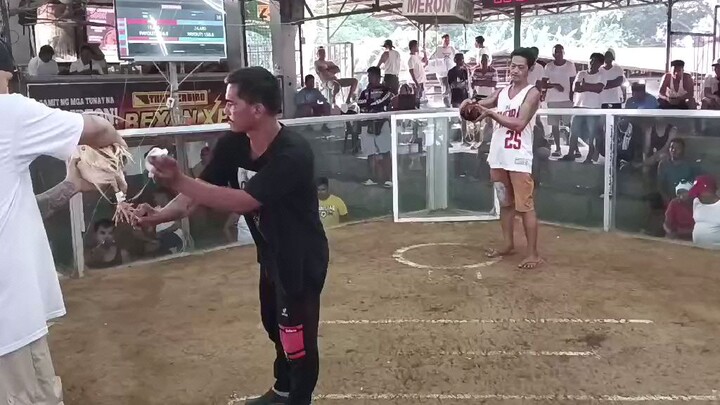 Second fight🐓 Calumpit cockpit arena