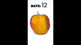 One Apple a day keeps the mold away... #shorts #apple #timelapse