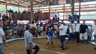 battle of the bockyard