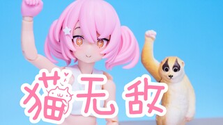 猫猫无敌