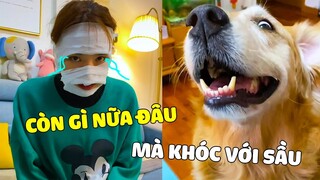 Đại Trang | Khi MAMA Dành Ăn Tôm Hùm Với ĐẠI TRANG Và Cái Kết... 😂 Gâu Đần Official