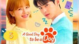 A G00D DAY TO BE A DOG EP5