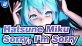 Hatsune Miku| Sorry, I‘m Sorry_2