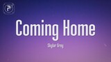 Skylar Grey - I'm coming home (Lyrics)