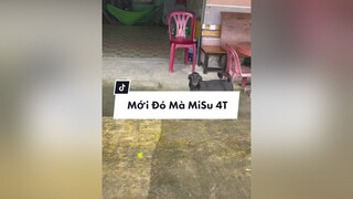 Trả lời  MISU ĐÂY ẠH 😘 chó_cưng misu ngocanhstore 66đồngtháp