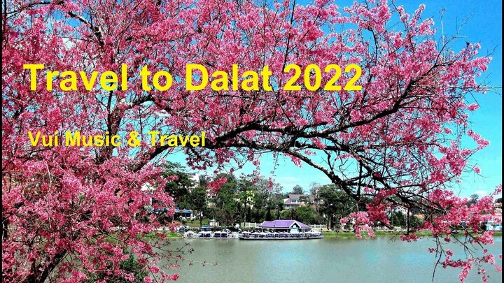 Travel To Dalat - Du Lịch Đà Lạt 2022 | Vui Music & Travel