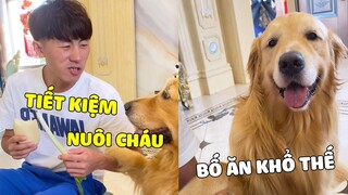 Gâu Đần Family | PAPA Tiết Kiệm Tiền Nuôi Cháu và Cái Kết Gớt Nước Mắt 🤣 Gâu Đần Official